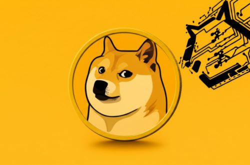 Dogecoin: De la Broma a la Diana - Cuando el Poder de los Memes Choca con la Realidad Cripto